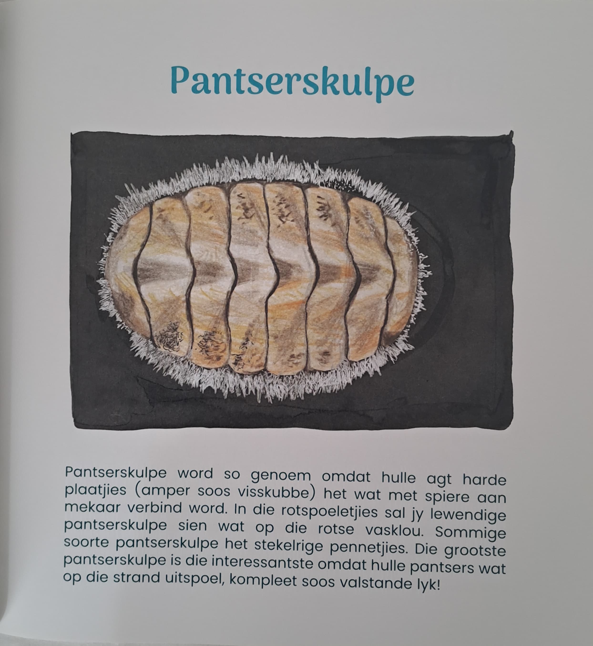 Seestories vir Kleuters en Peuters 2