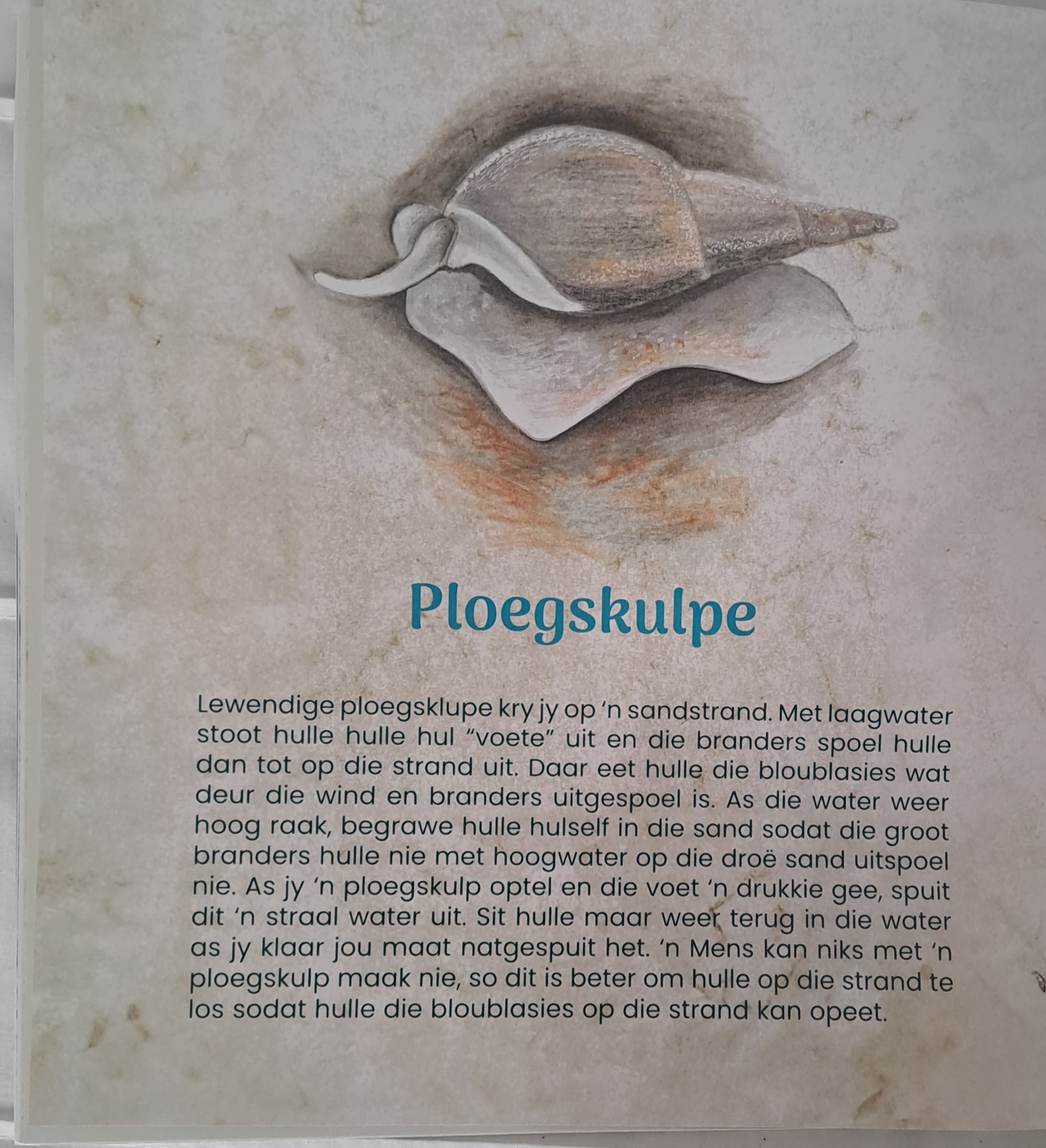 Seestories vir Kleuters en Peuters