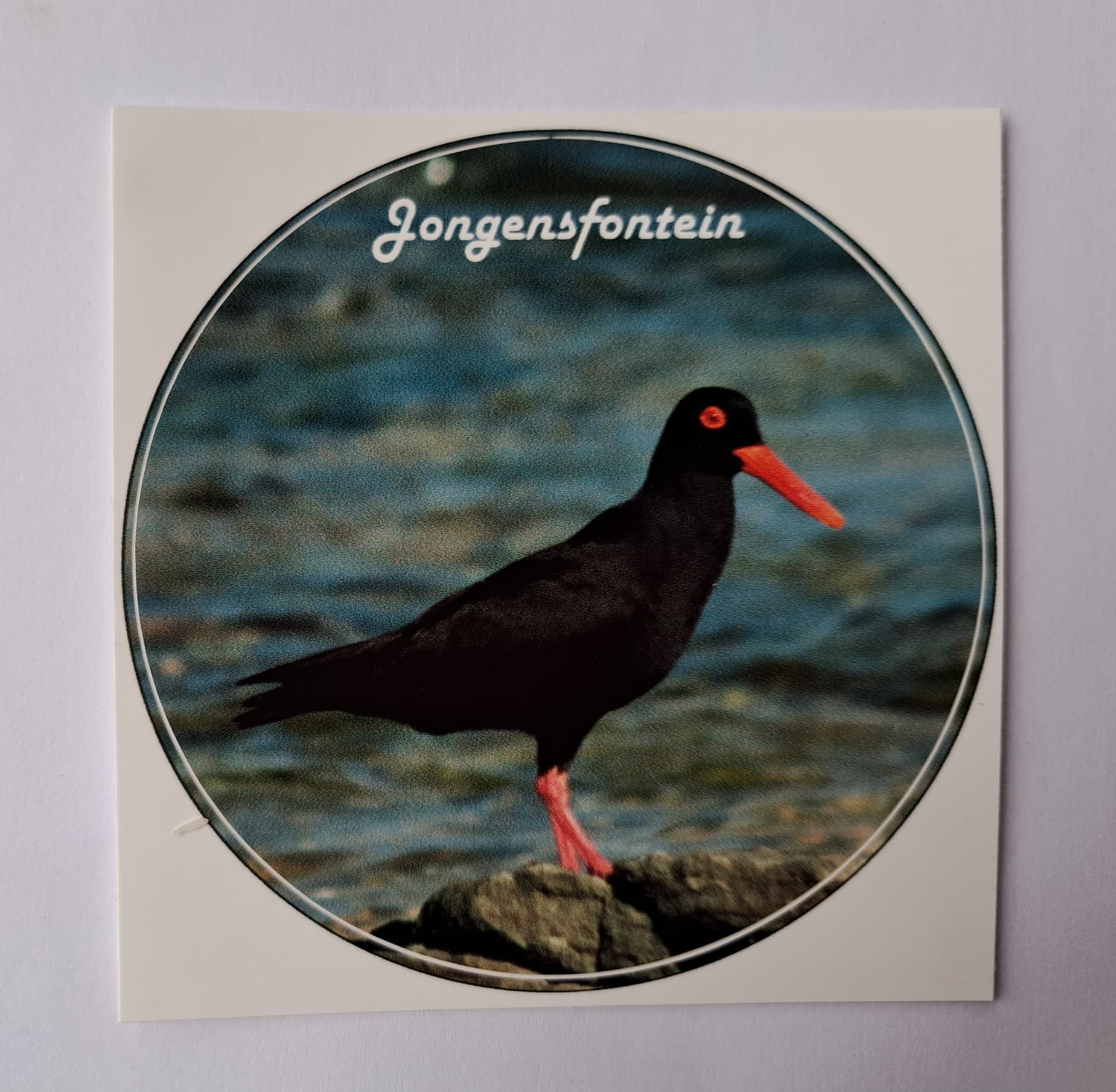 Jongensfontein license's holders 5