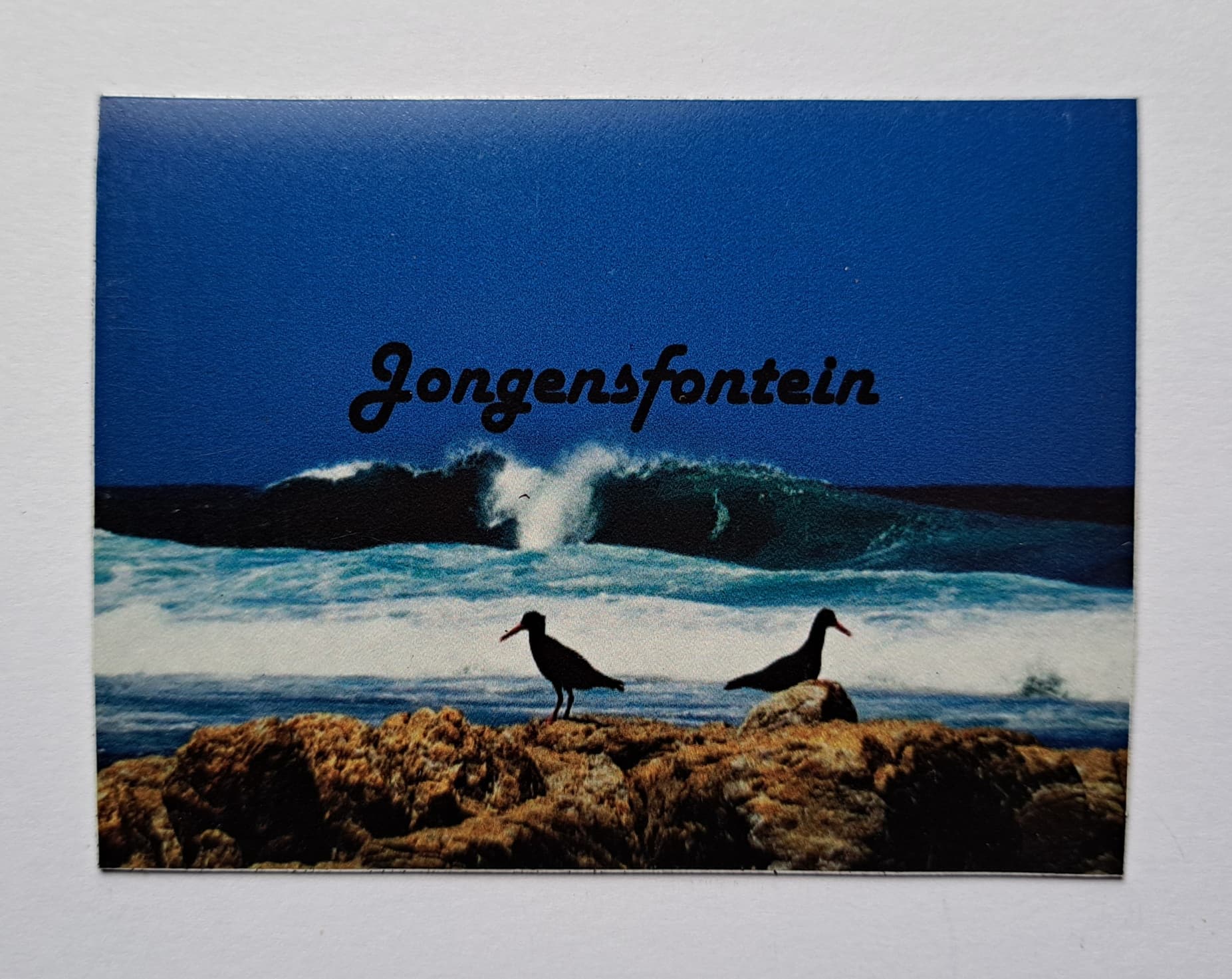 Jongensfontein Magnets 5