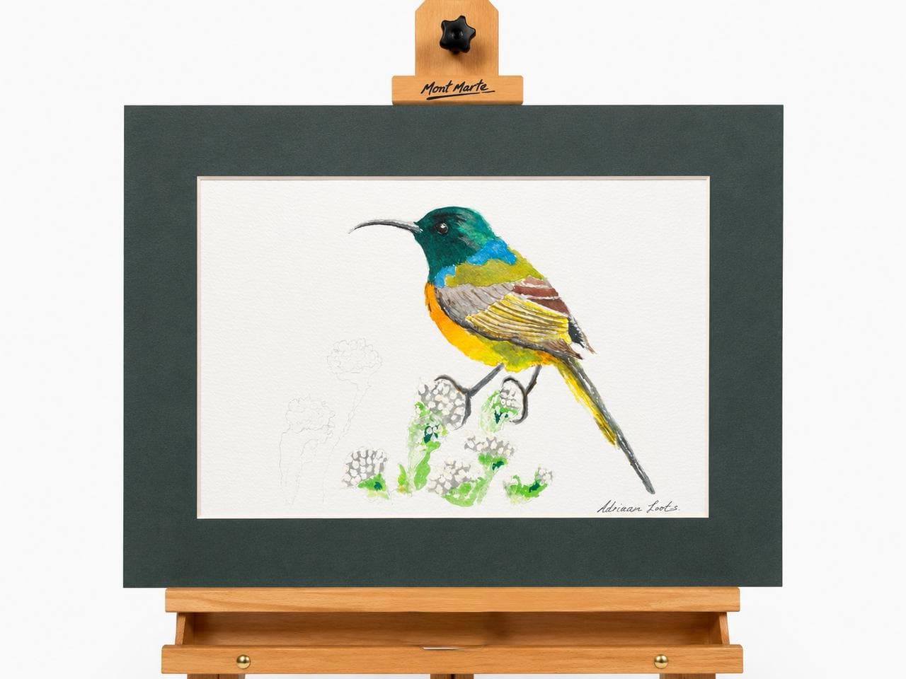 Sunbird Watercolour Artwork - 40x32cm 