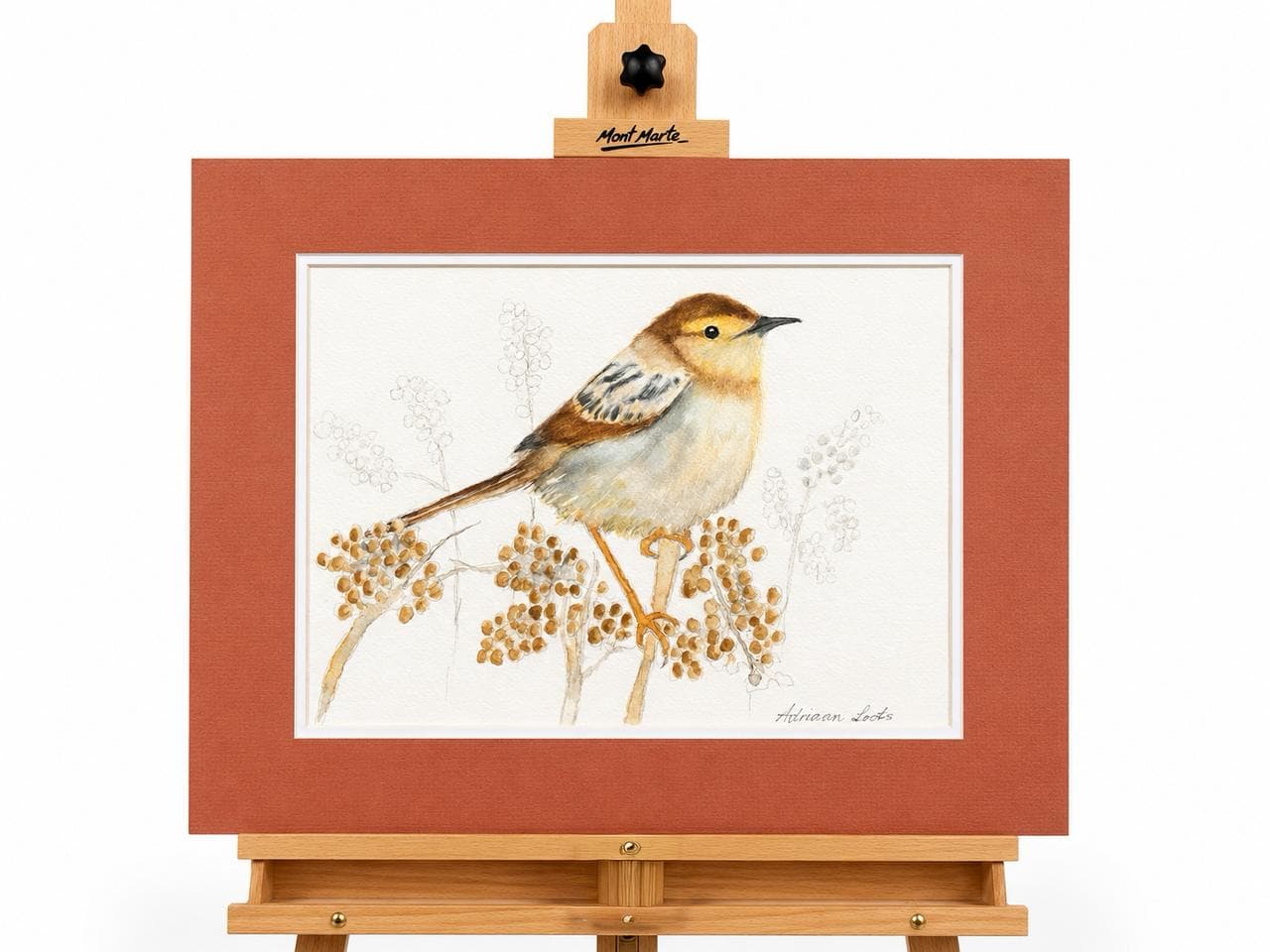 Cape Sparrow Watercolour Artwork - 40x33cm