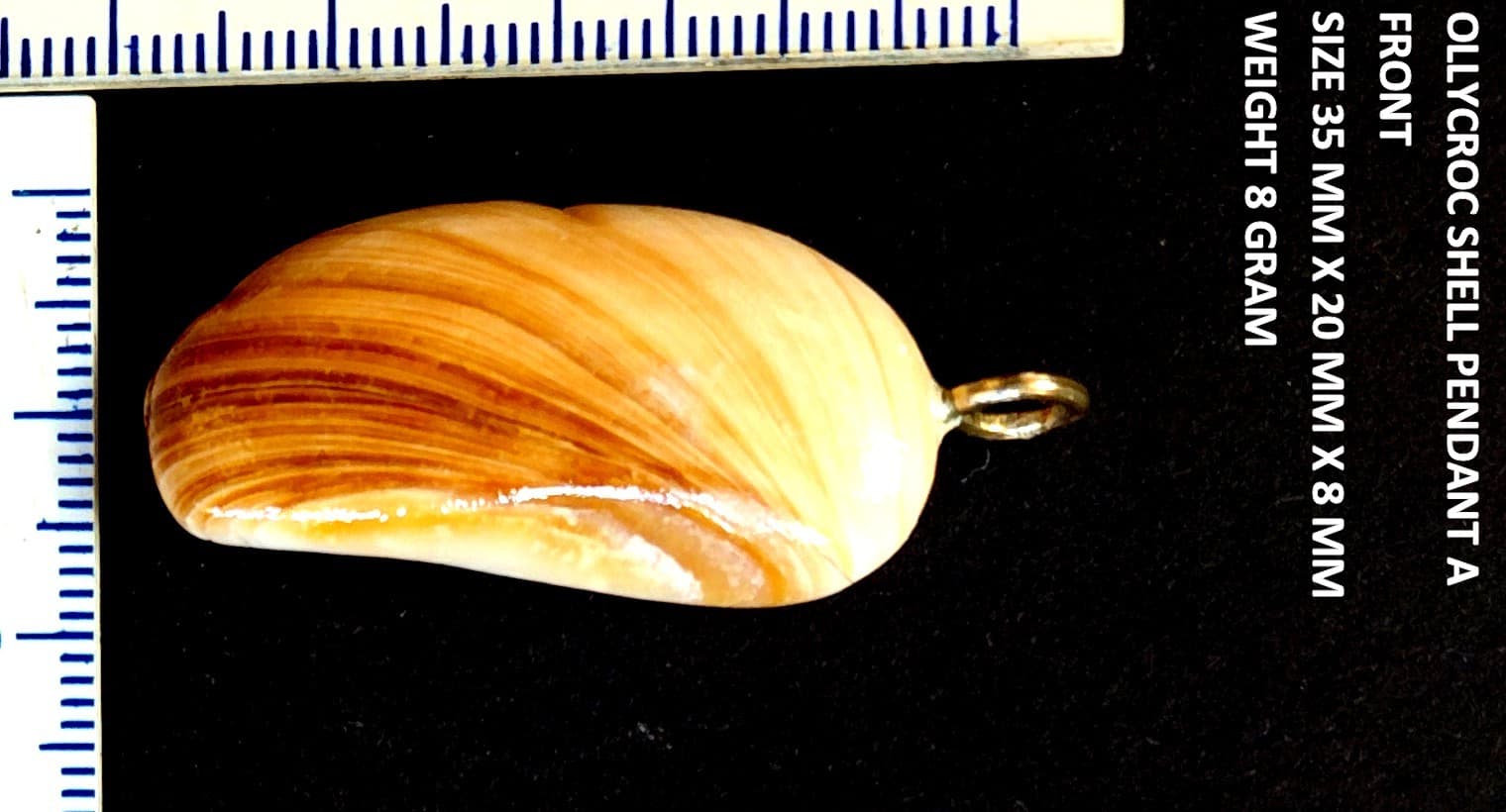 Natural Ollycroc shell pendant 