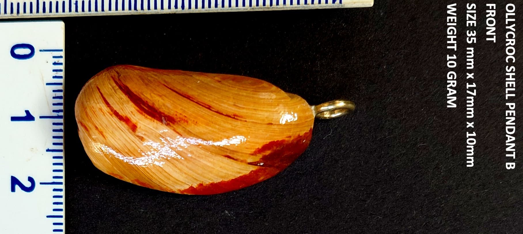Natural Ollycroc shell pendant  2