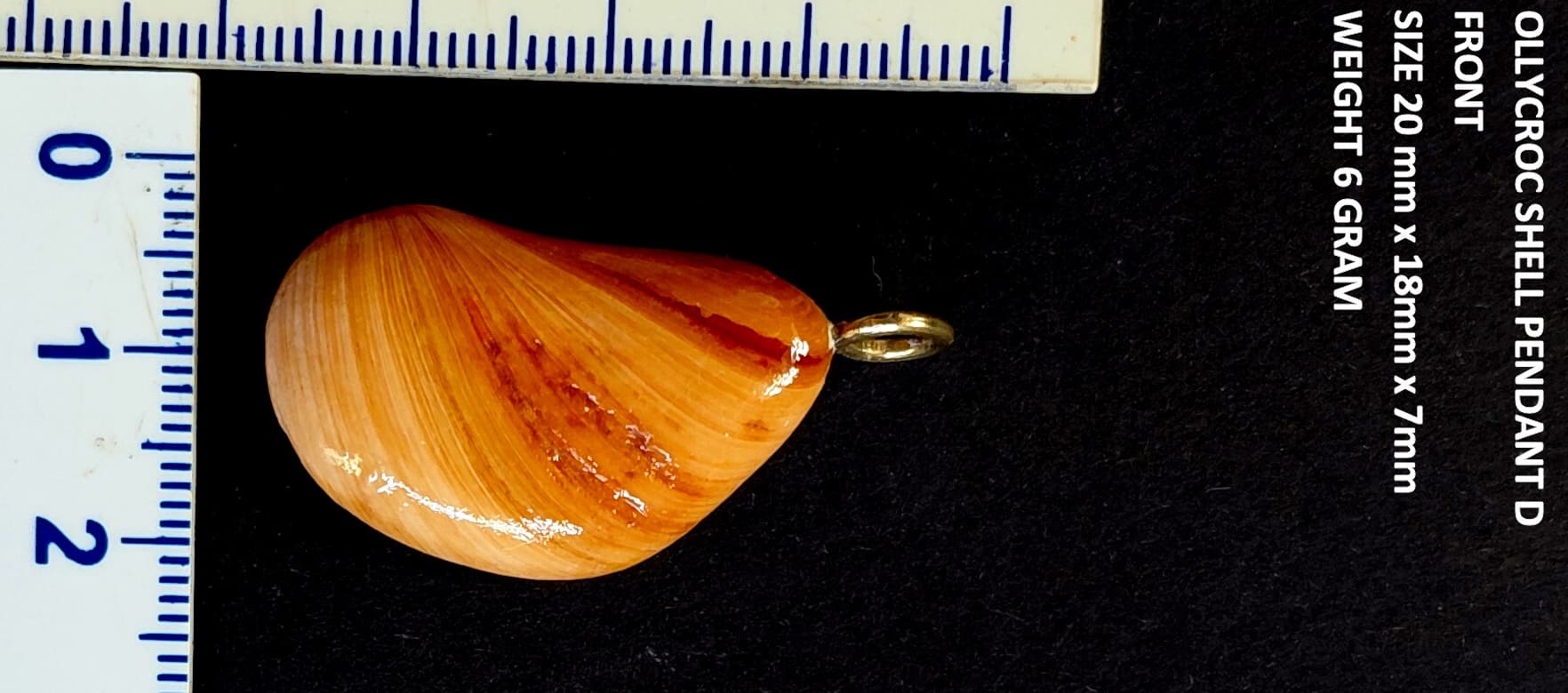 Natural Ollycroc shell pendant 